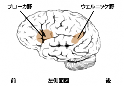 30-8巻頭文.png