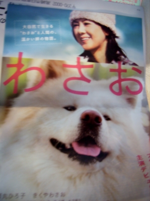 わさお