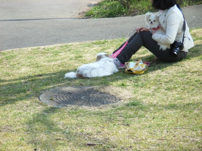 なつ