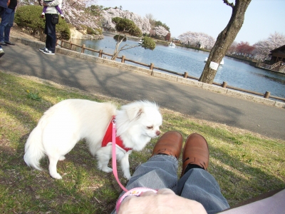 ふゆちゃん