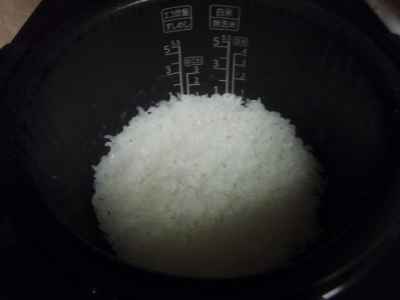 お米立つ