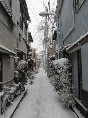 2014雪
