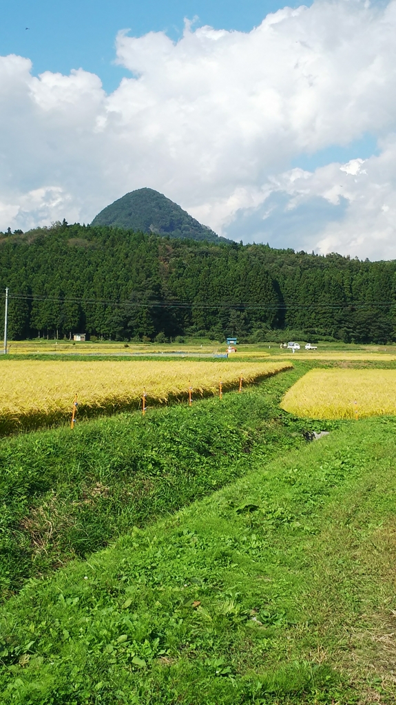 DSC_0538.JPG