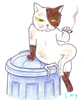 猫11