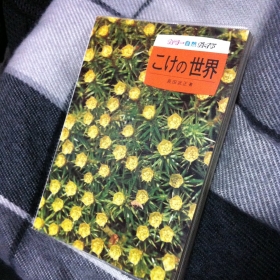 こけの世界