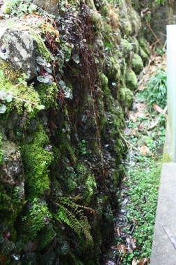 Shobara04