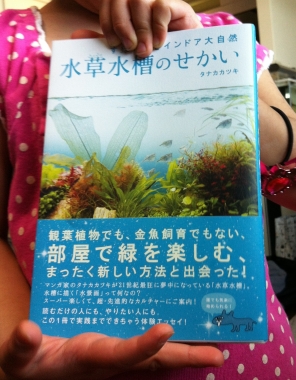 水草水槽のせかい