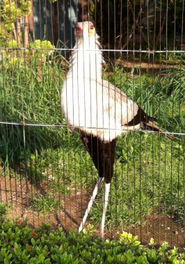 上野動物園