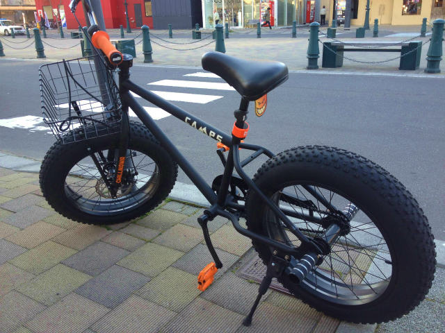 Bronx bicycle bmx ストリート カスタム BRONX ブロンクス DD ファット