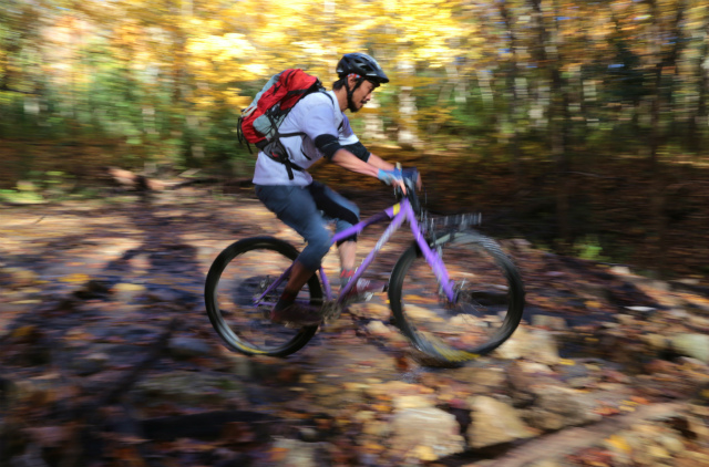 purple mtb