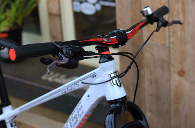 mongoose argus comp 2019