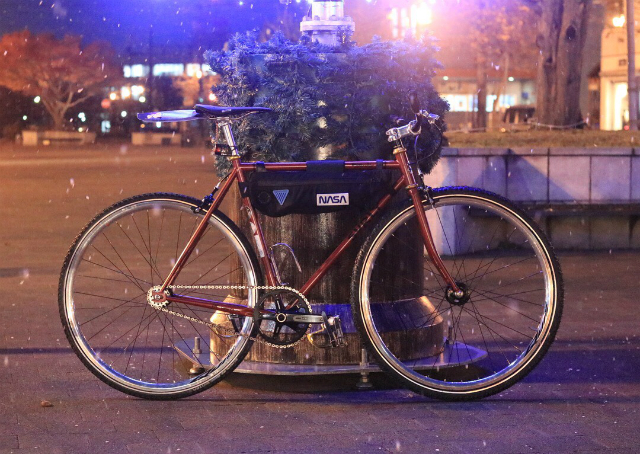 fixed bike gear