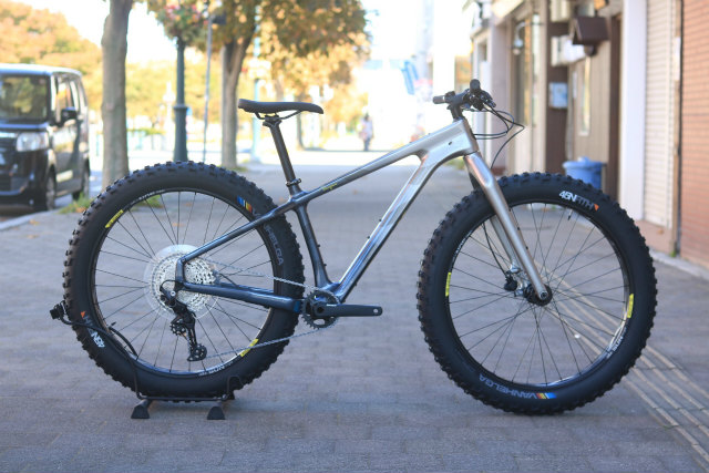 salsa beargrease carbon