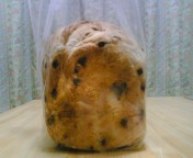 2008_0120_023.jpg
