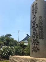 うなぎ供養