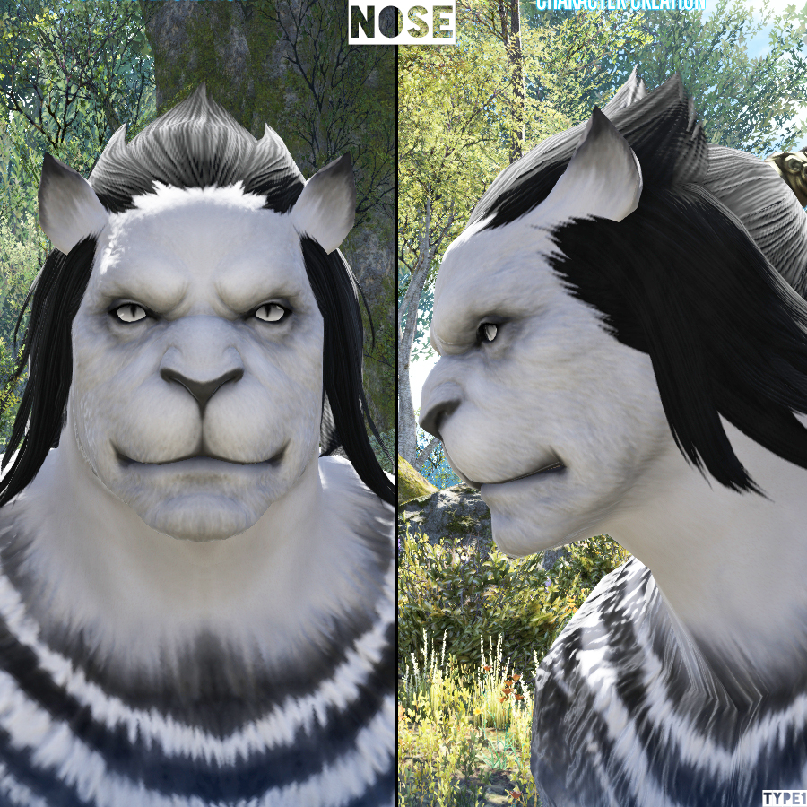 Ffxiv キャラクリ まげたる
