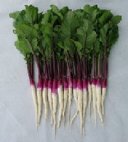 日野菜