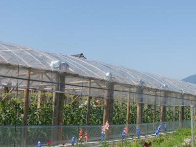 20130514BGH02