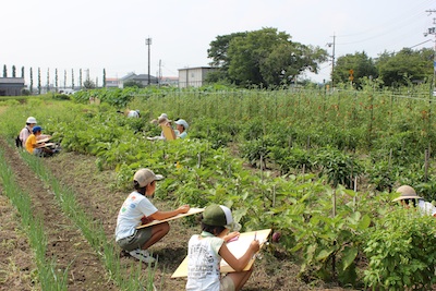 20130808kaiga-05