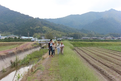 20130923edamame-03