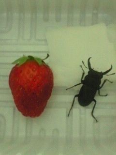 2015051820230000.jpg