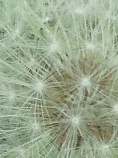 2015051816030001.jpg