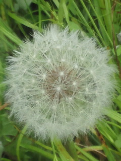 2015051816030000.jpg