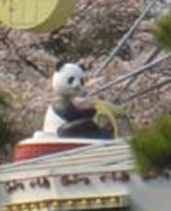 こっち見てるパンダ