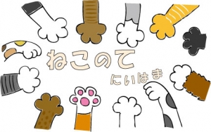ねこのて