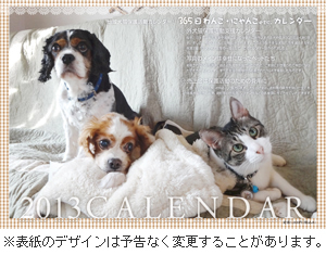 2013年 カレンダー