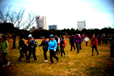 DSC_1291.jpg