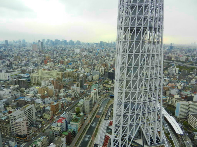 DSCN2754.jpg
