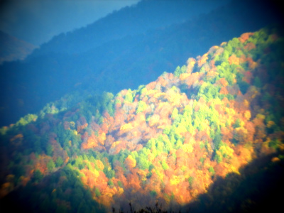 DSCN3694.jpg