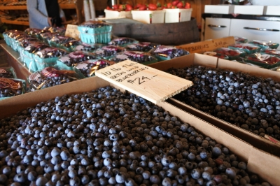 blueberry