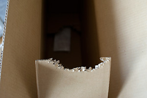 Q+ BOX
