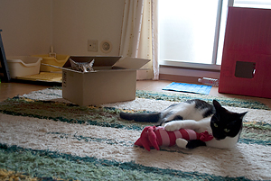 0604_4.jpg