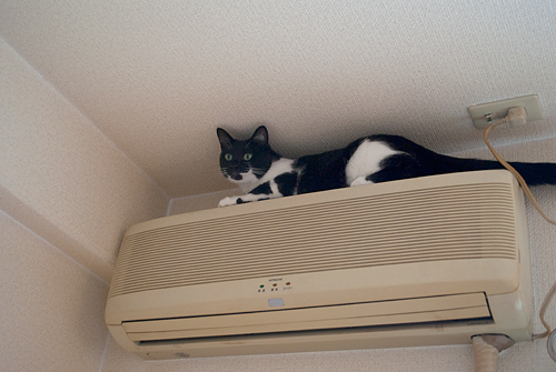 Q+ BOX