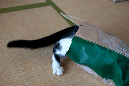 Q+ BOX