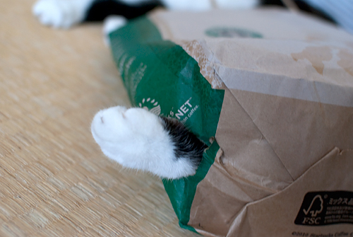 Q+ BOX