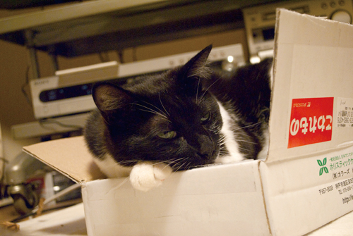 Q+ BOX