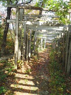 151019_1013~01.jpg
