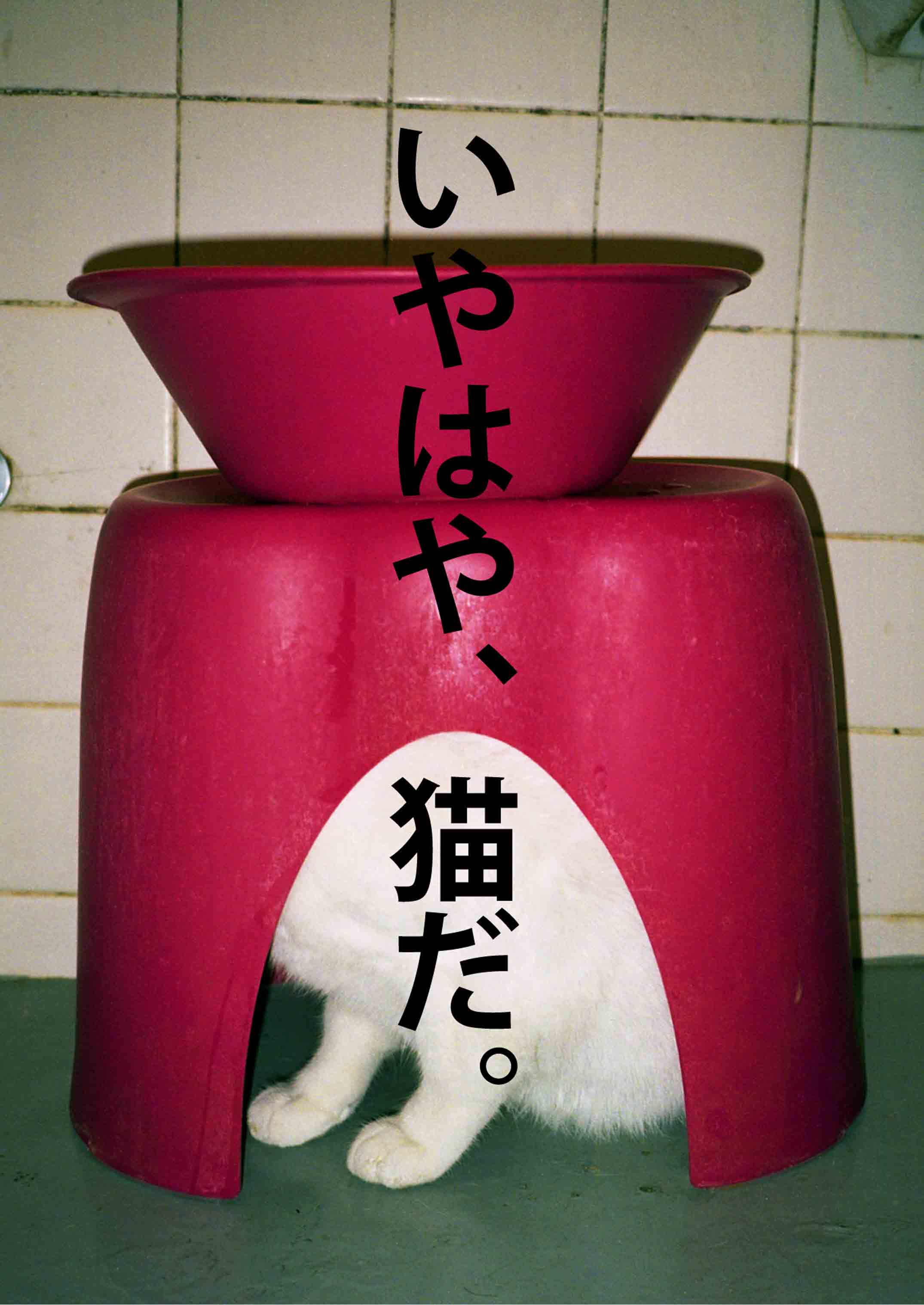 ぴゃるこ展