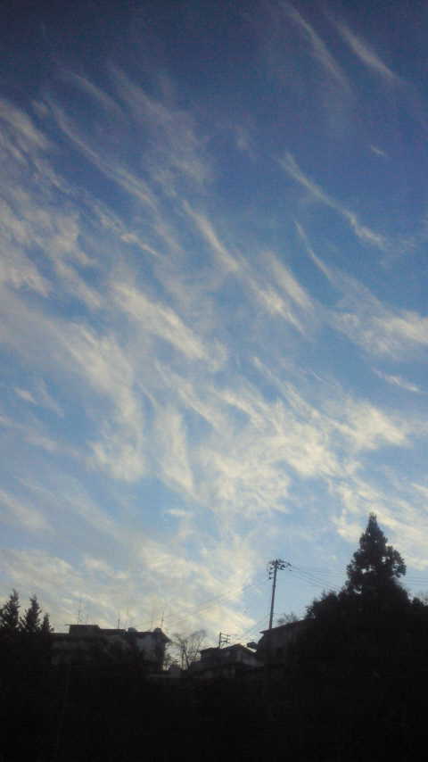 201011200639000.jpg