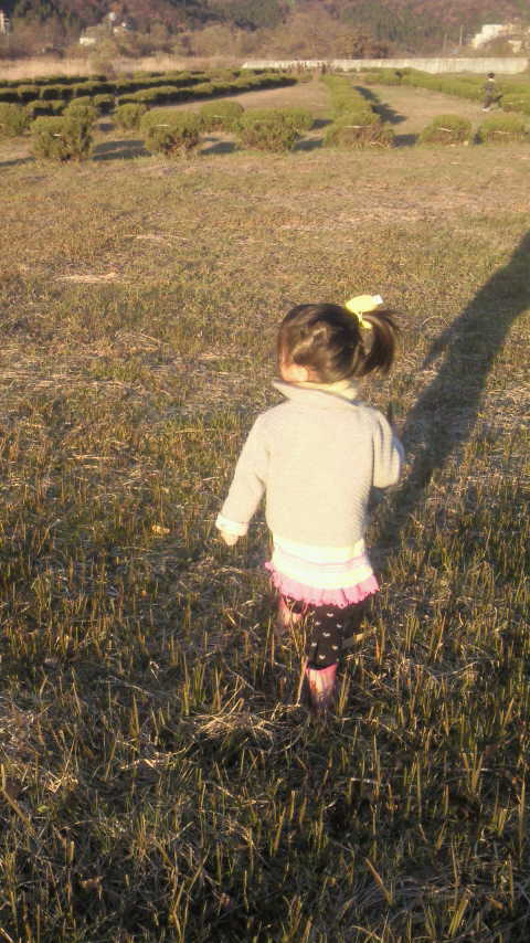 201011201536000.jpg