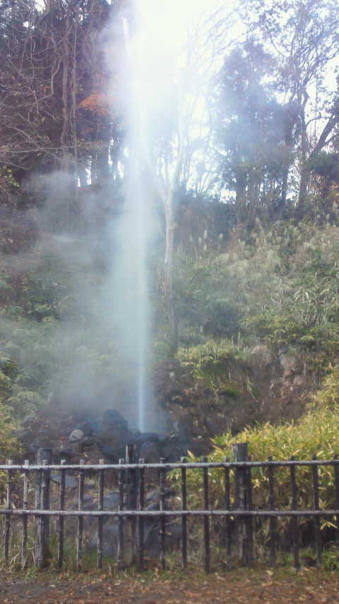 201011211446001.jpg