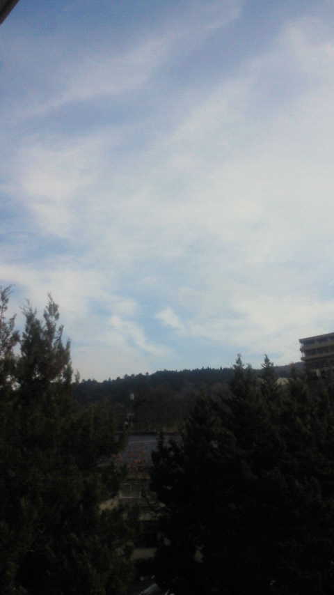 201011220956000.jpg