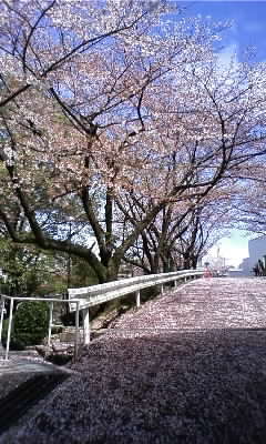 080408_1140~01.JPG