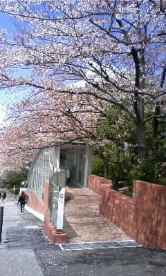 080408_1142~01.JPG