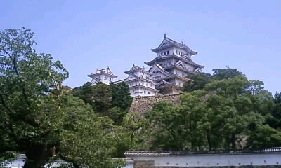 090818_1200~010001.JPG