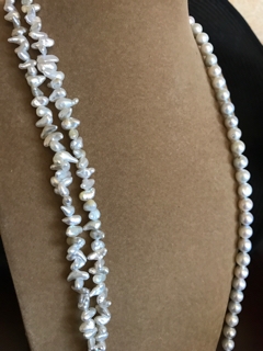 魅惑のツノケシ | BAY COLLECTION blog